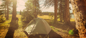 Checklist for a Memorable National Camping Month Experience